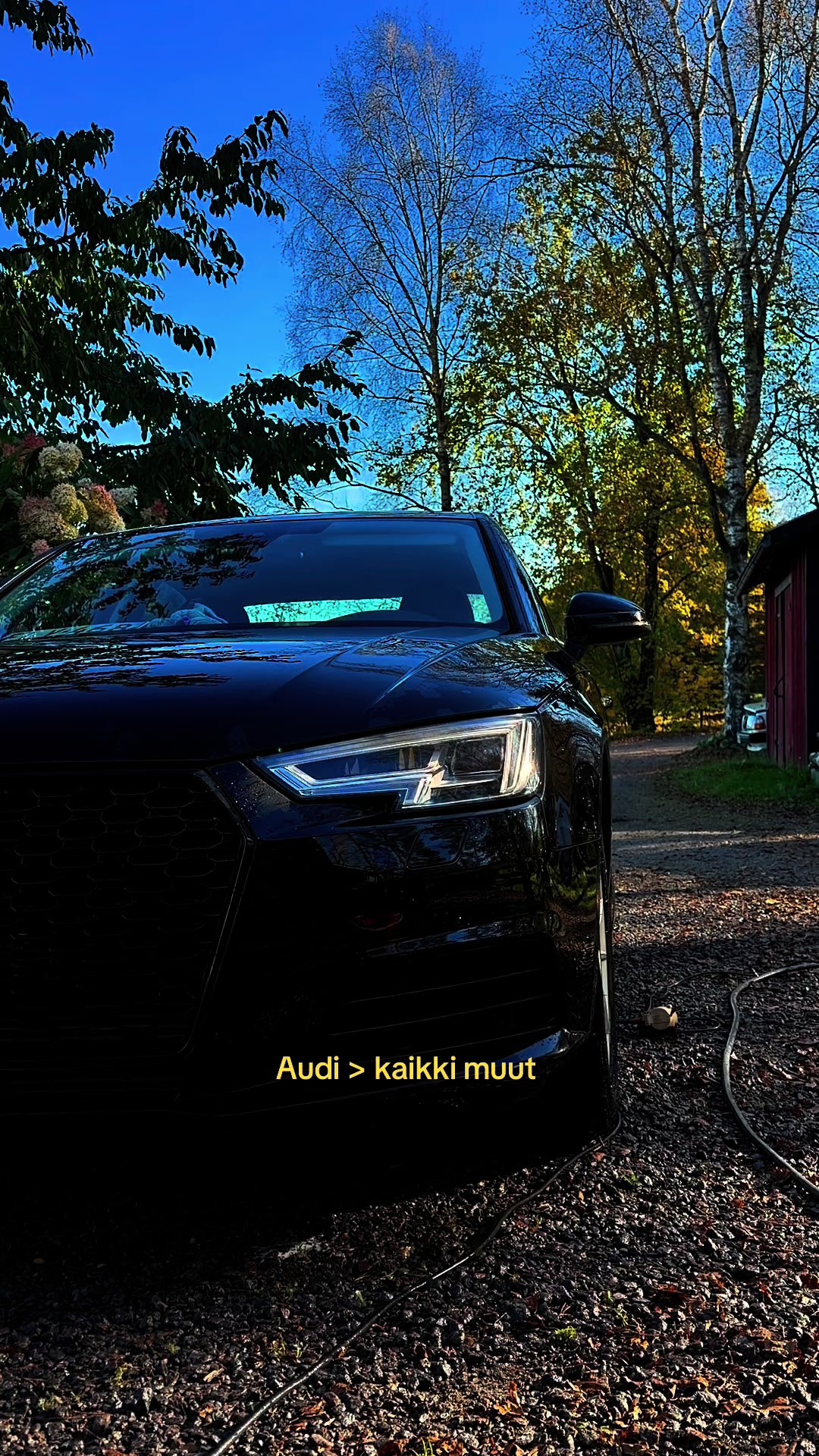 @alina