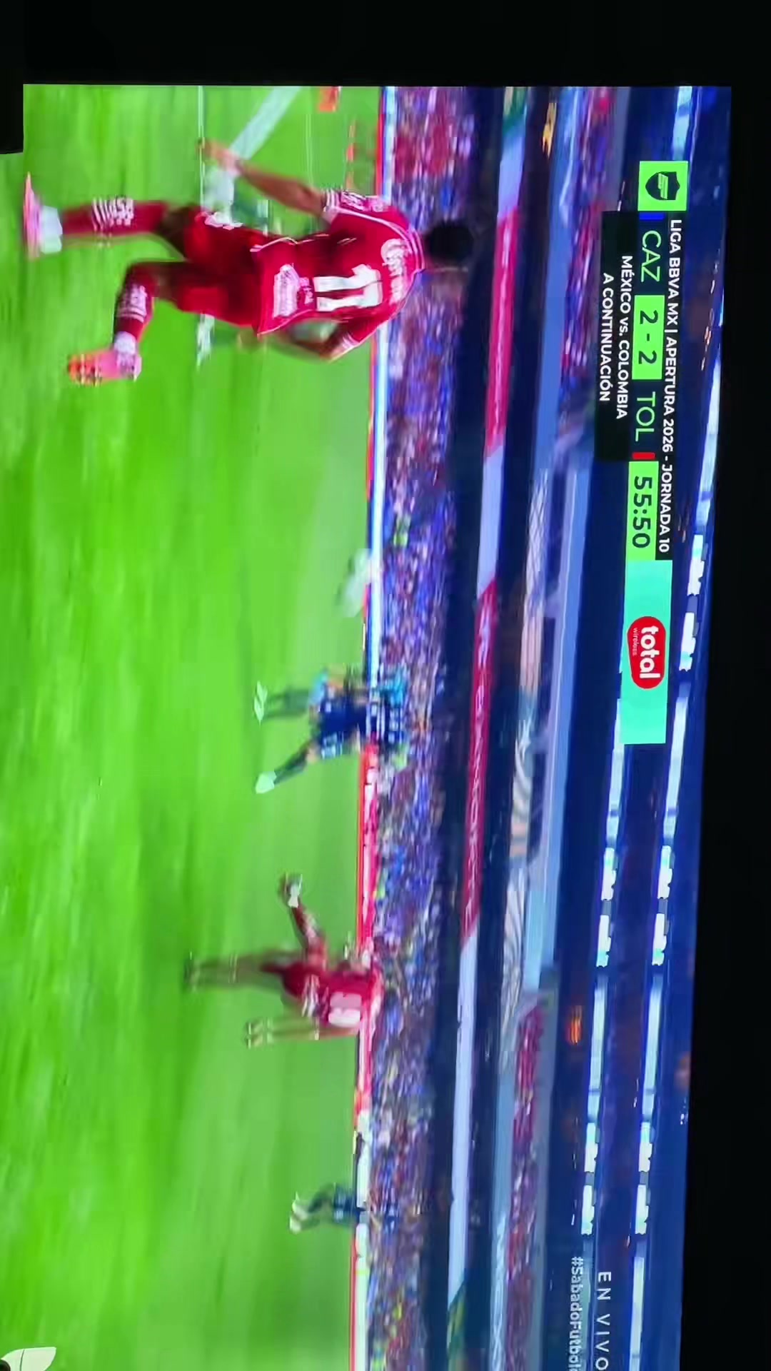@perezcastillo19865