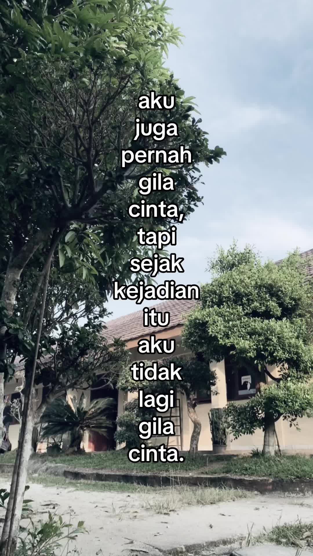 @🦋