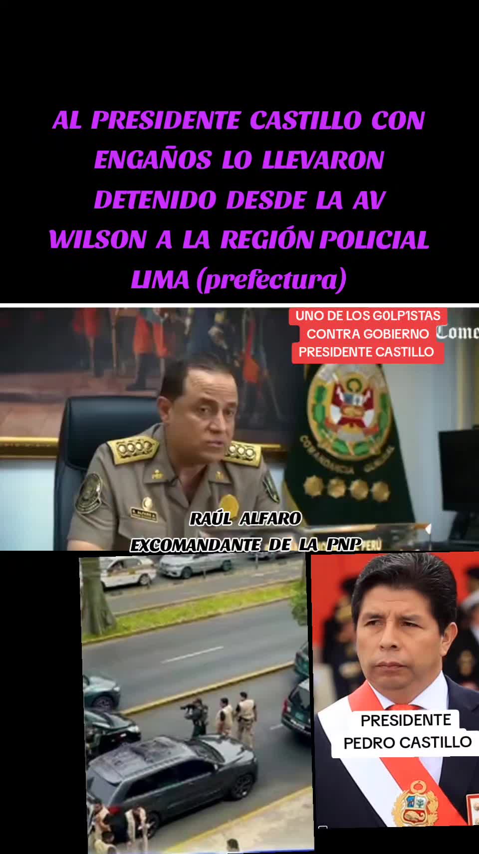 @Amaz&oacute;nica