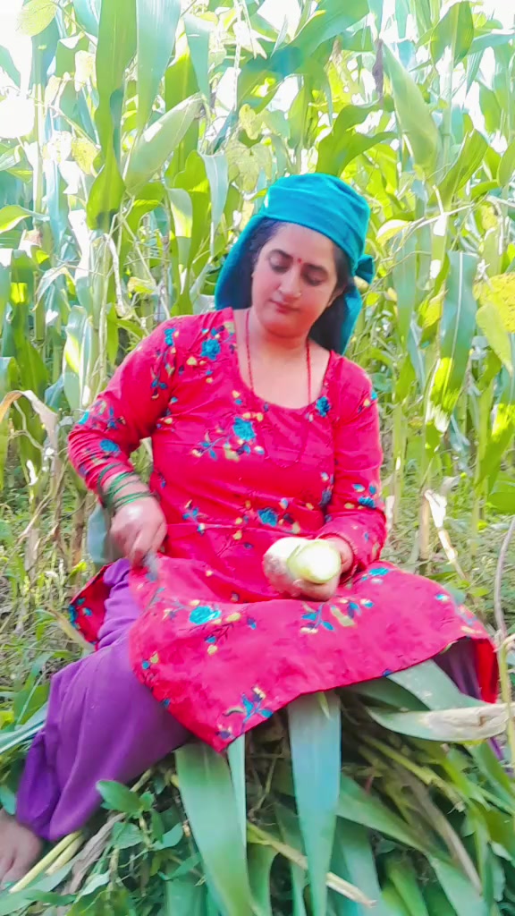@Dhana Neupane