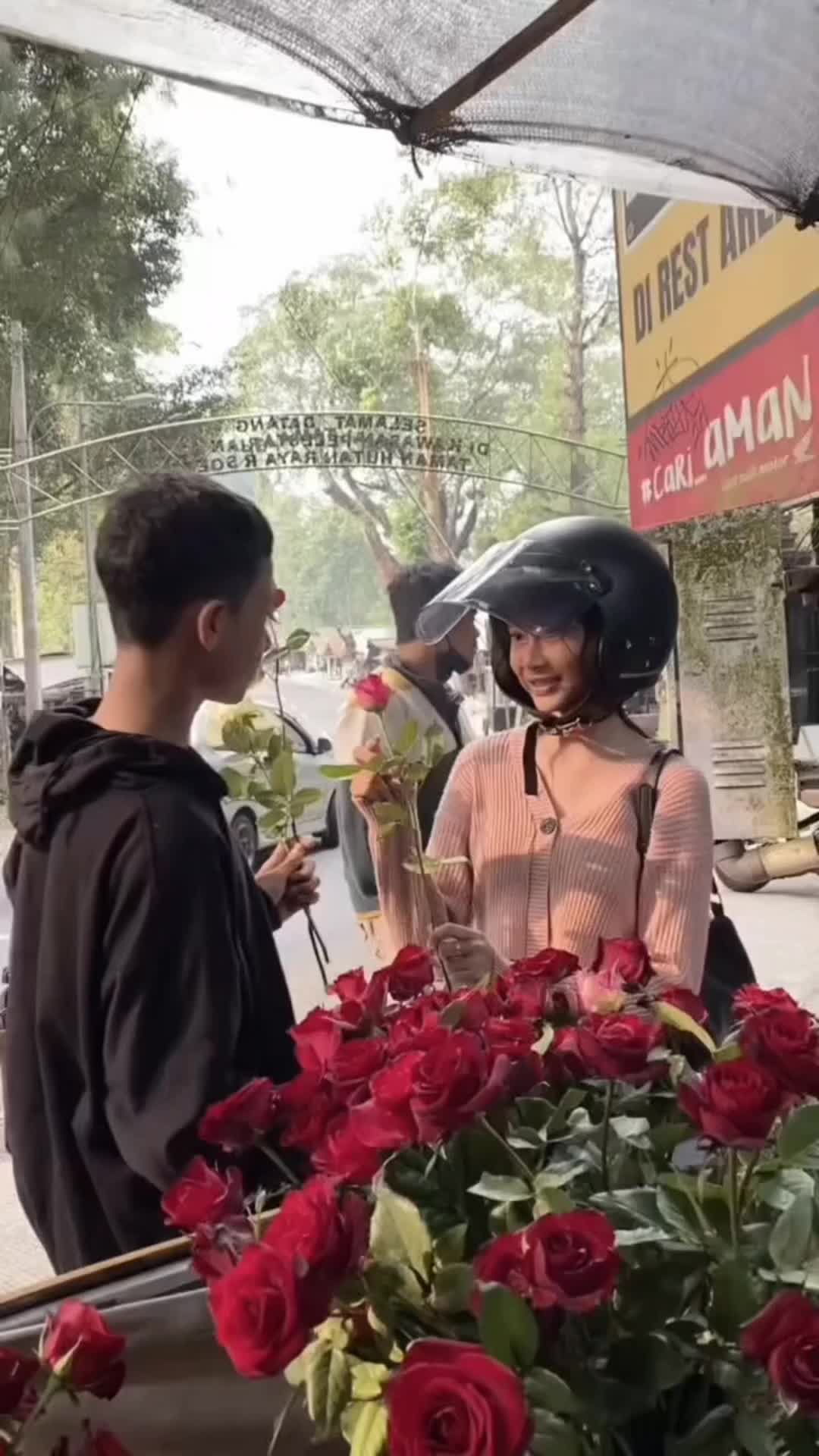 @— ayy🦕