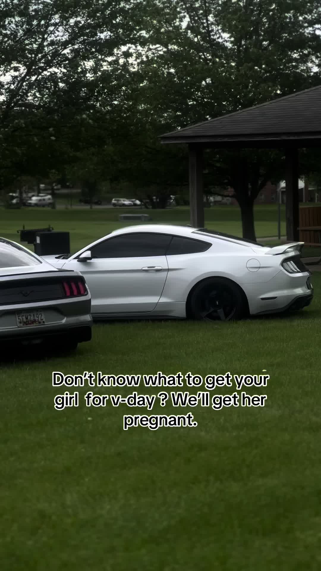@Devon Moran