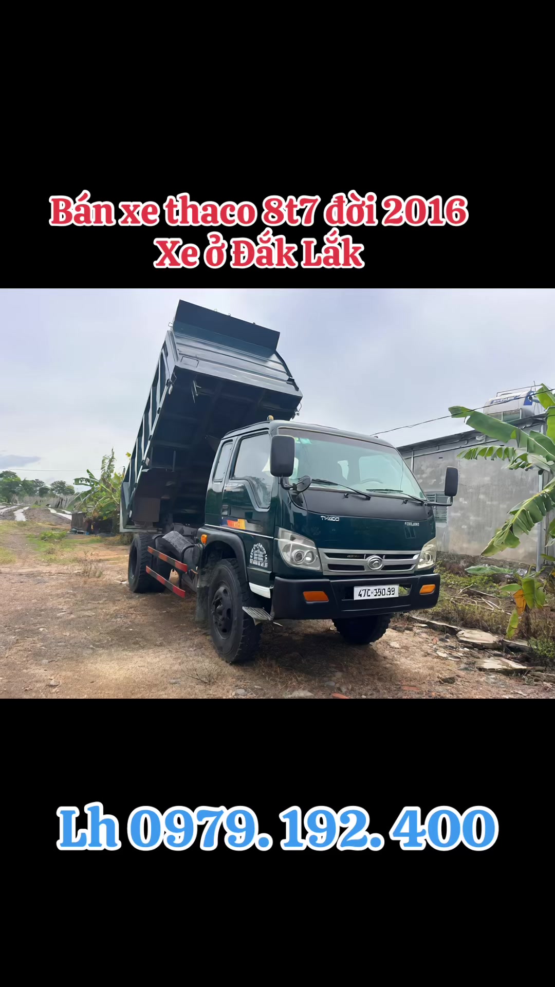 @Trực Ô Tô Miền Nam
