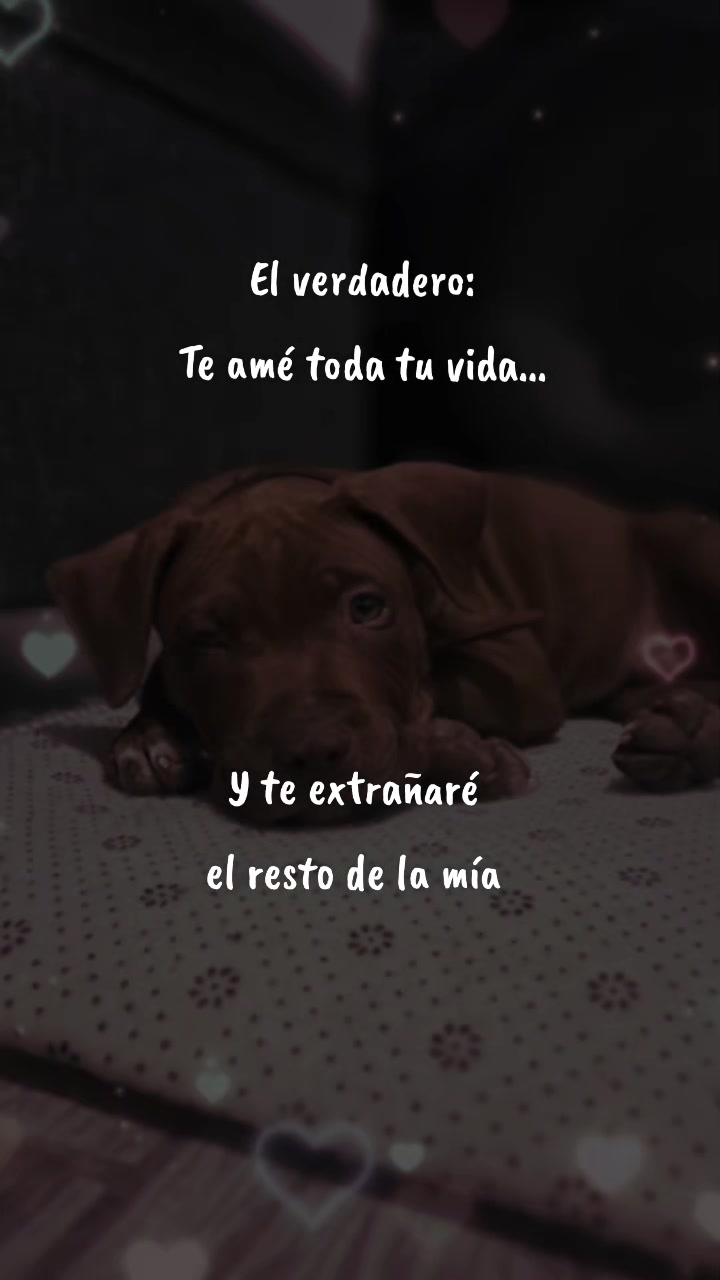@Martika MKZ