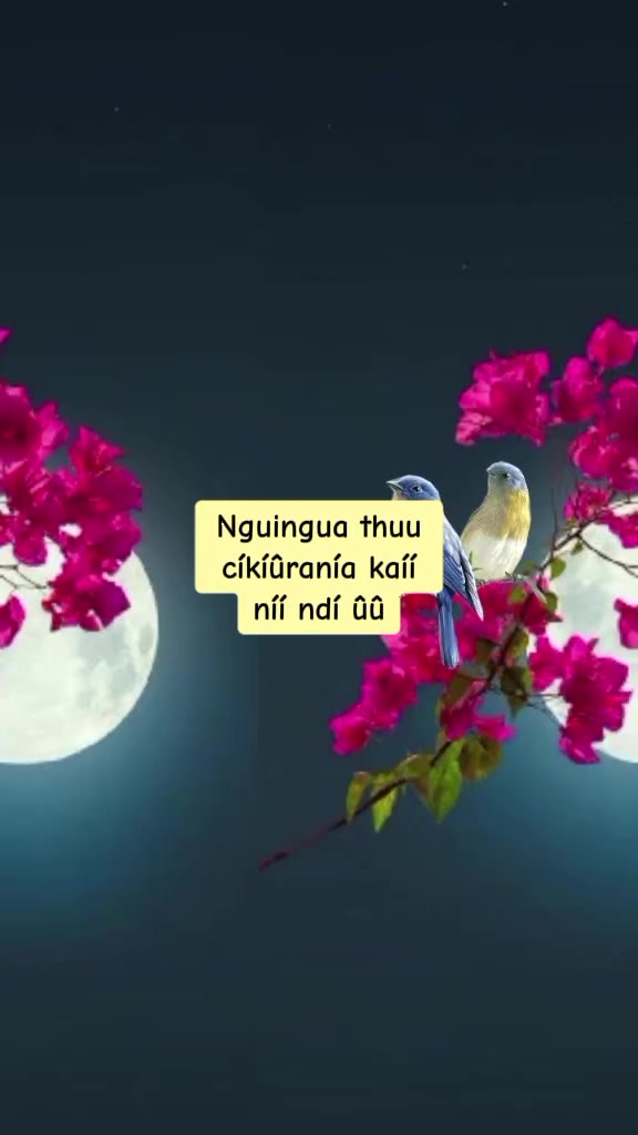 @MamaGalsOfficial