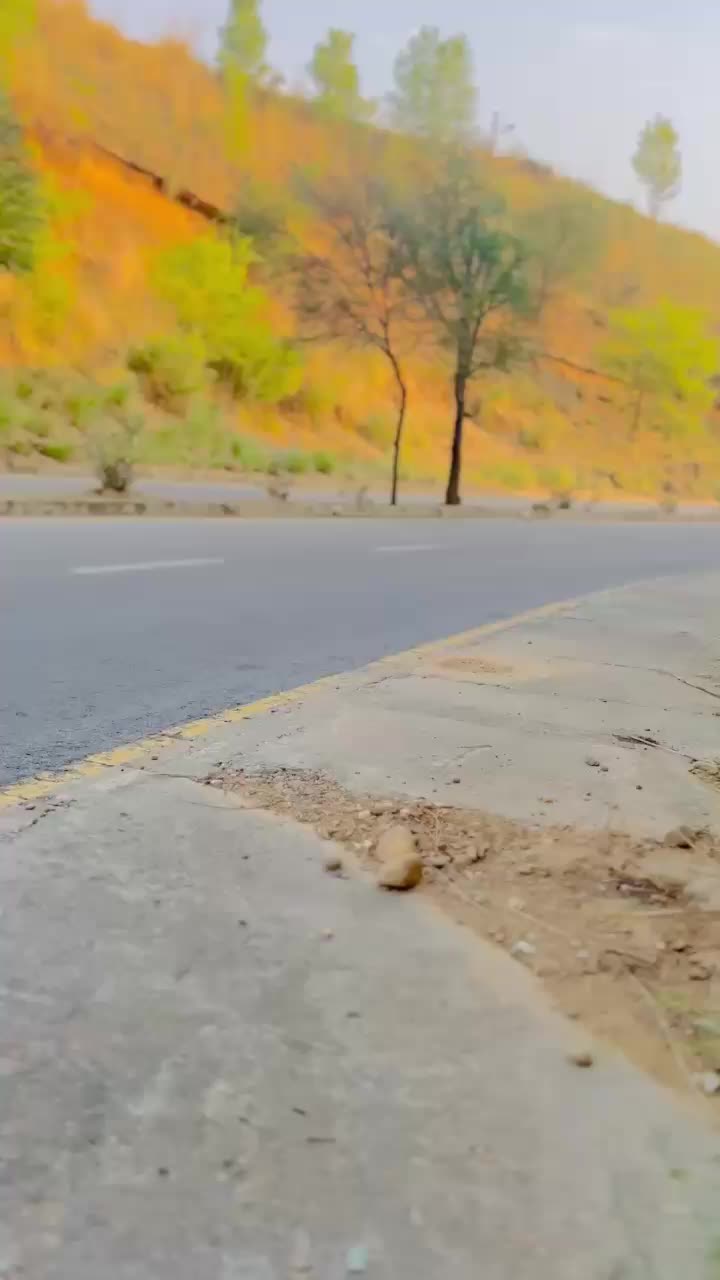@wasitrajpoot