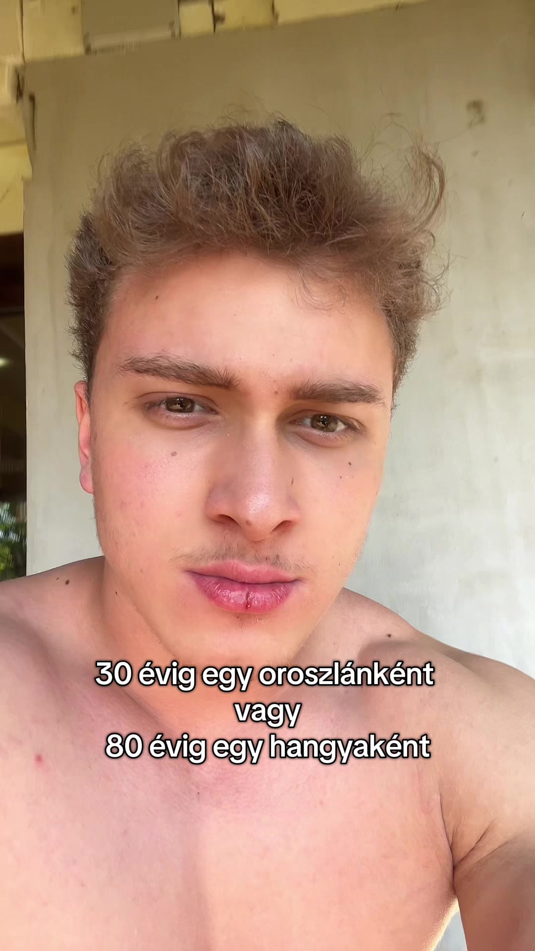 @Kardos Donát