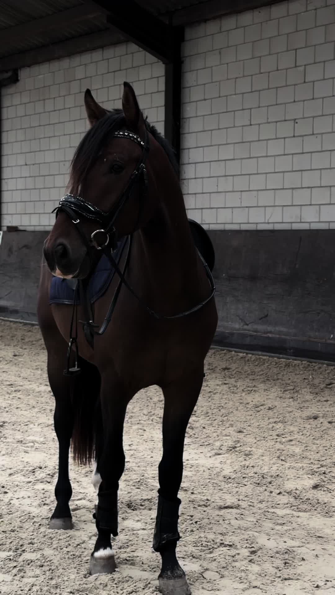 @𝐒𝐢𝐞𝐧𝐧𝐚 𝐓𝐨𝐥𝐤 🇳🇱