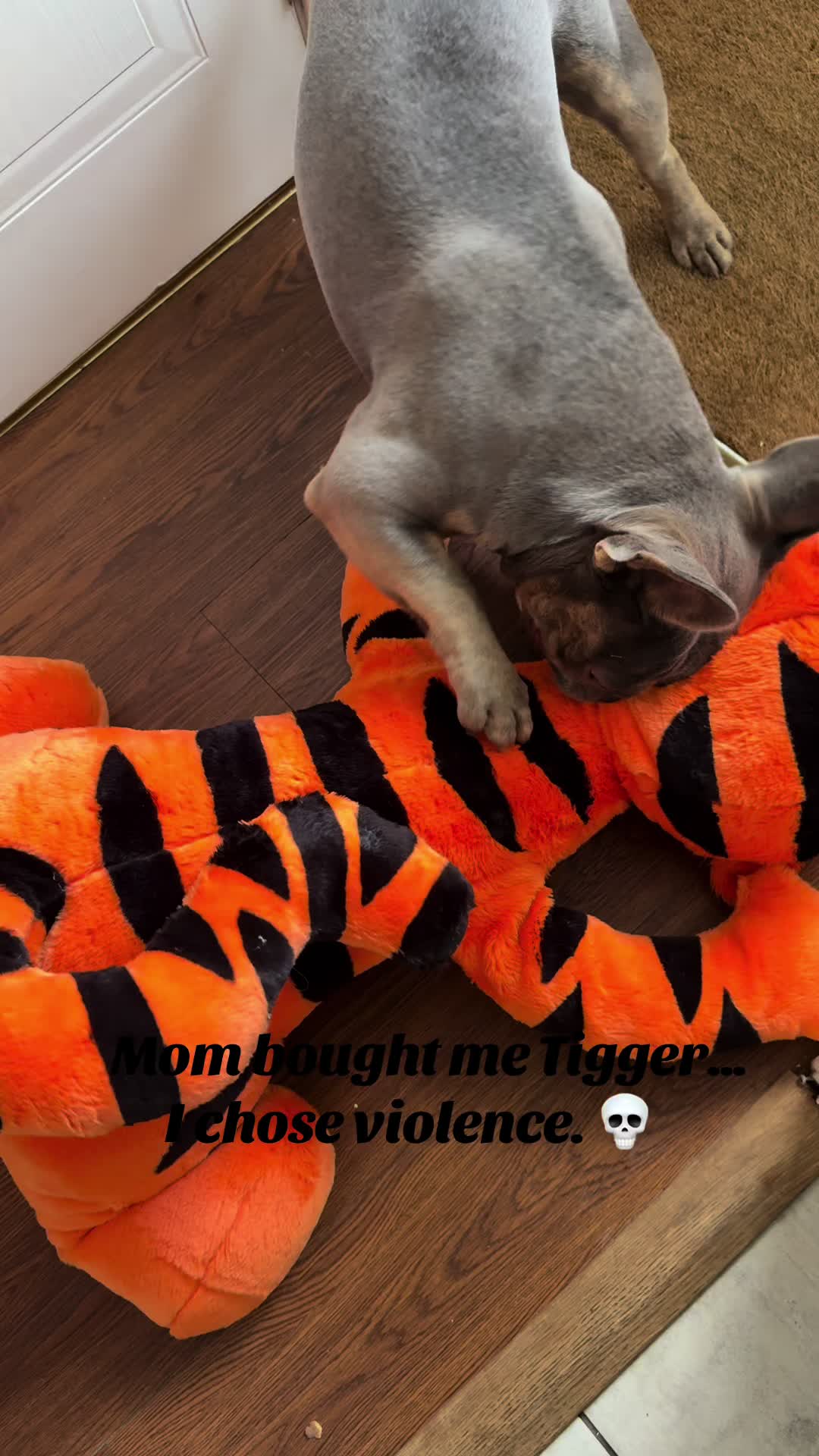 @Diablo the frenchie