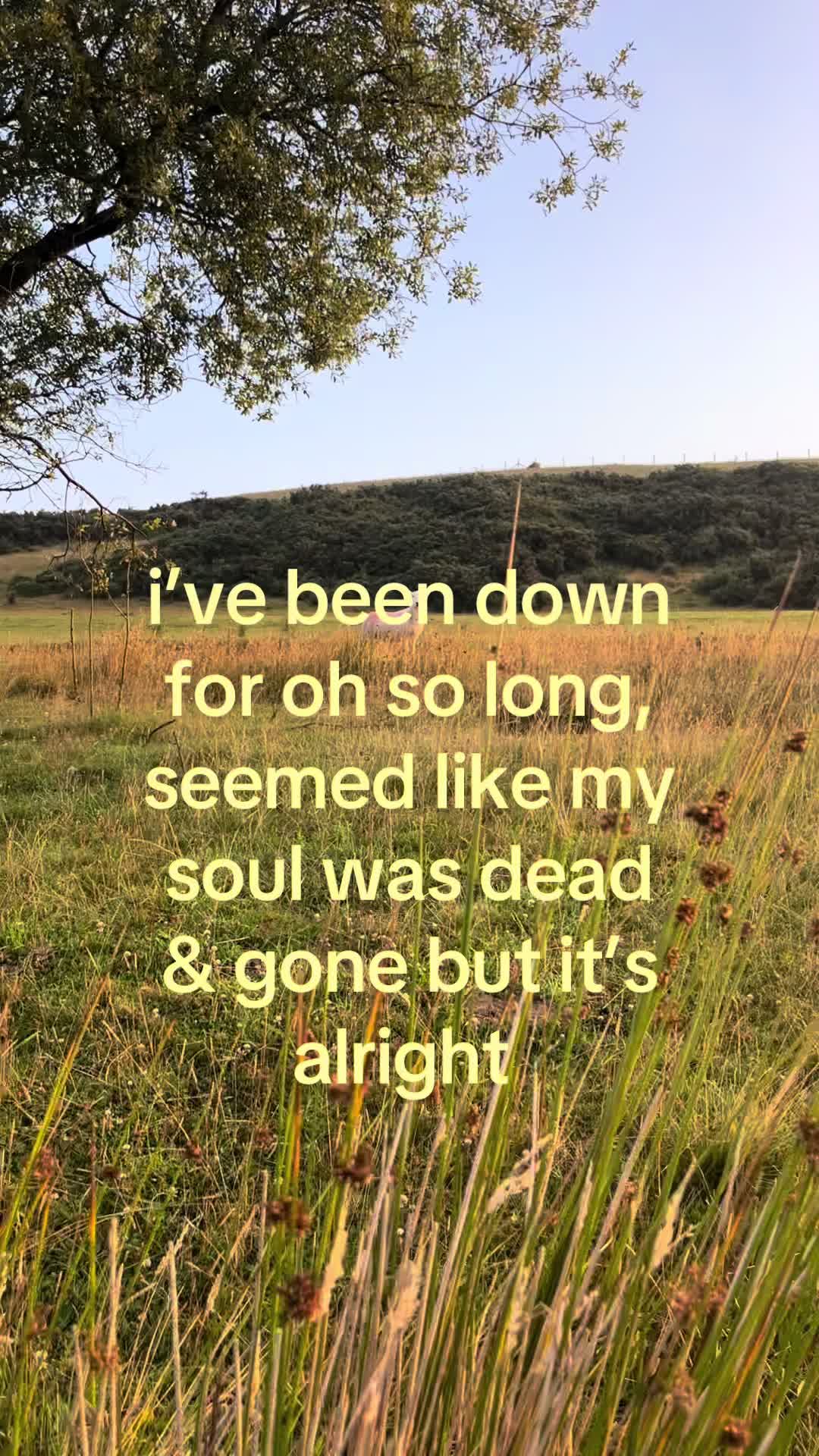 @⃟