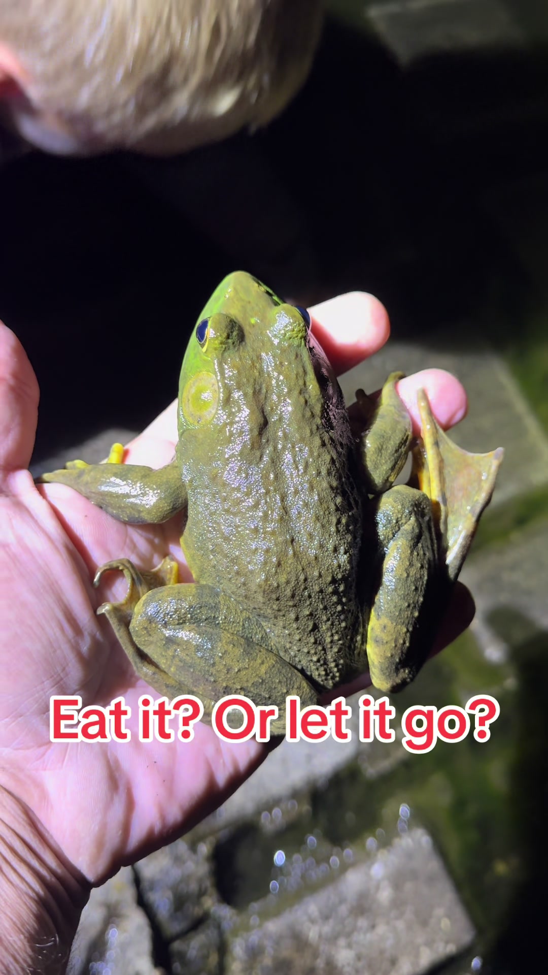 @ChrisFishOutdoors