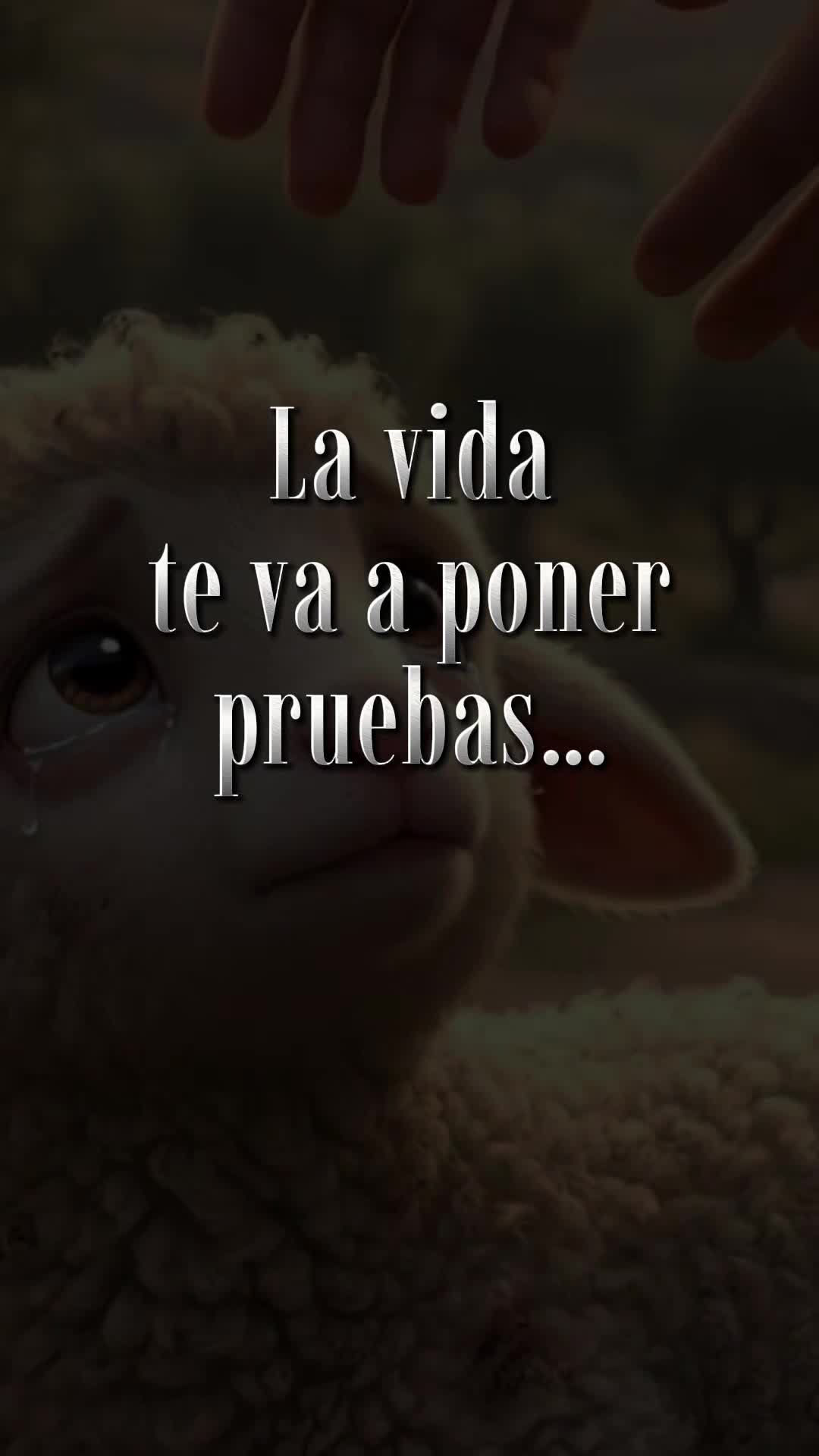 @Maribel 🌻