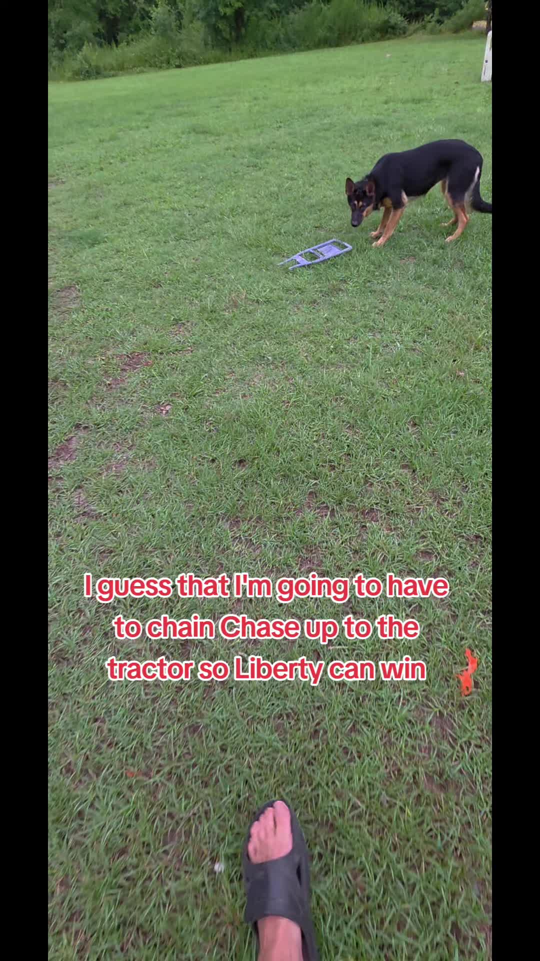 @Chase and Shelby and Liberty