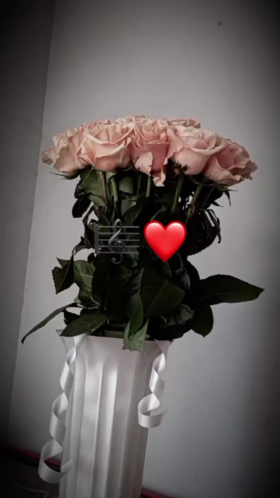 @♡𝙏𝙤𝙩𝙪𝙢♡