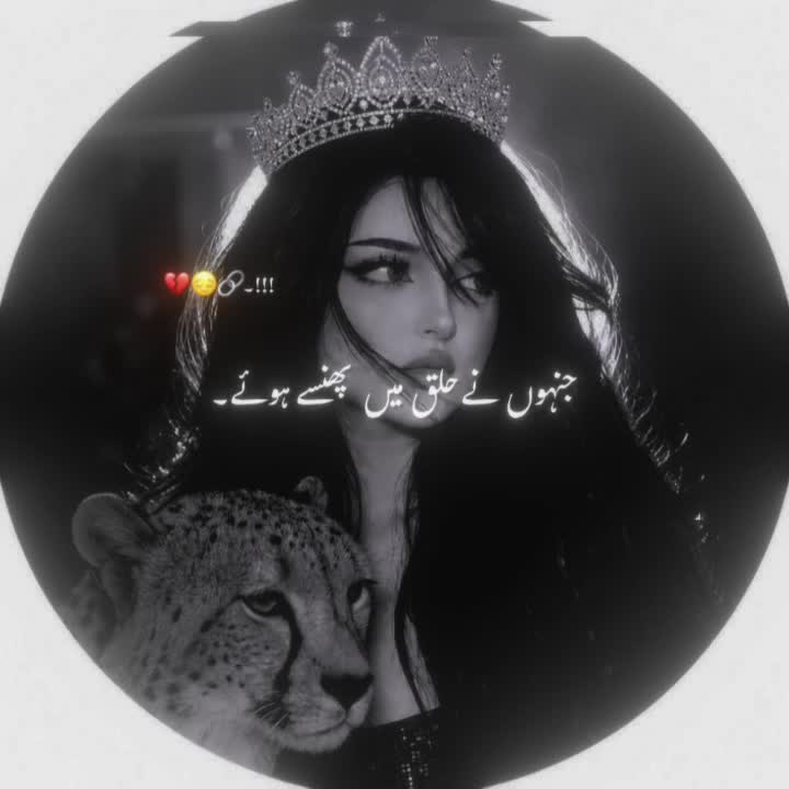 @Manobili😼