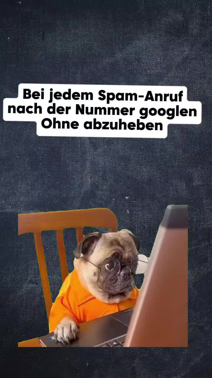 @gino