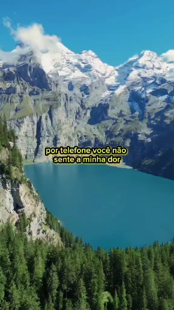 @só modão