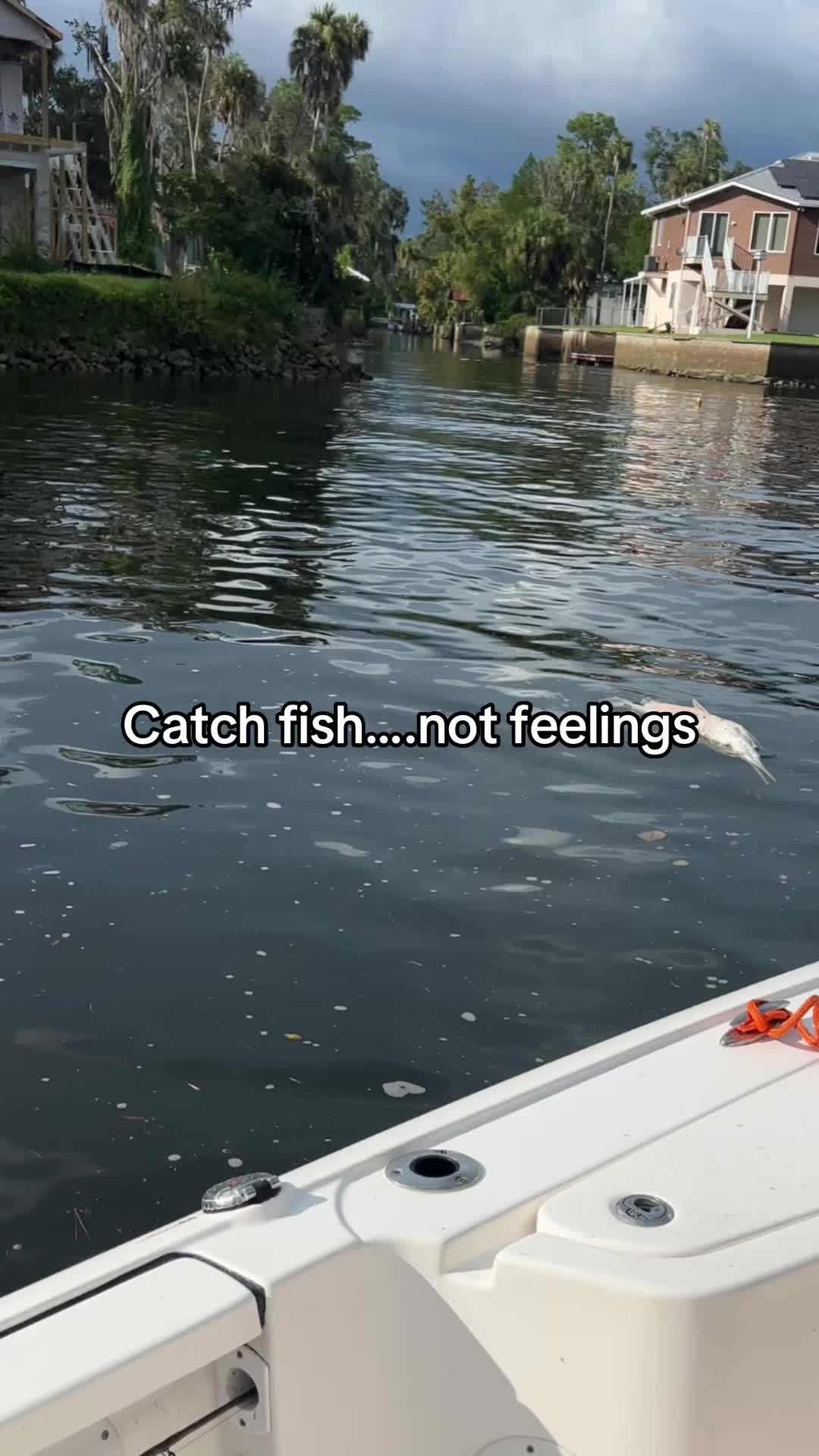 @🏝️girlpirate🏴☠️🧜♀️ 🎣Capt