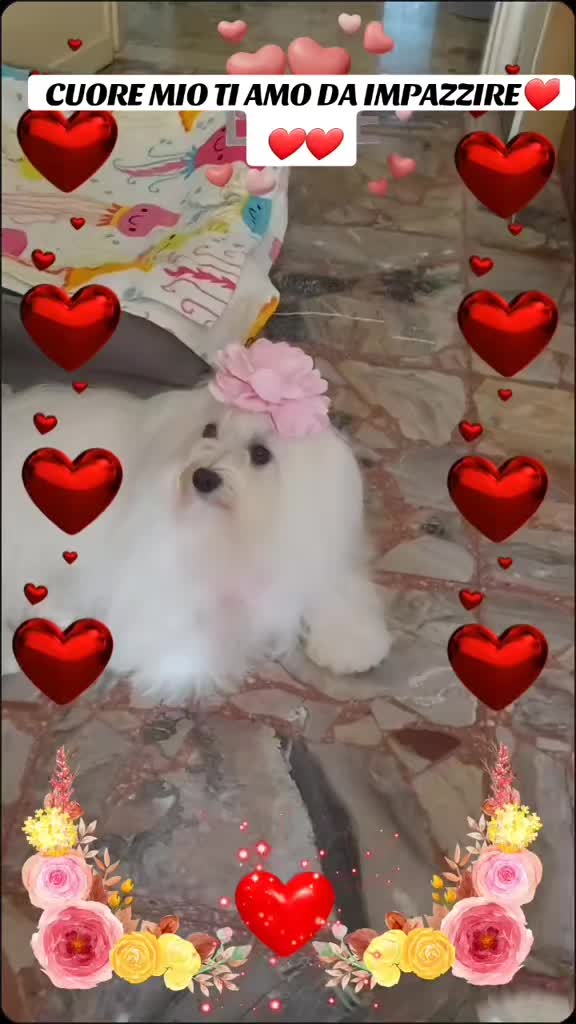@TITTI❤️