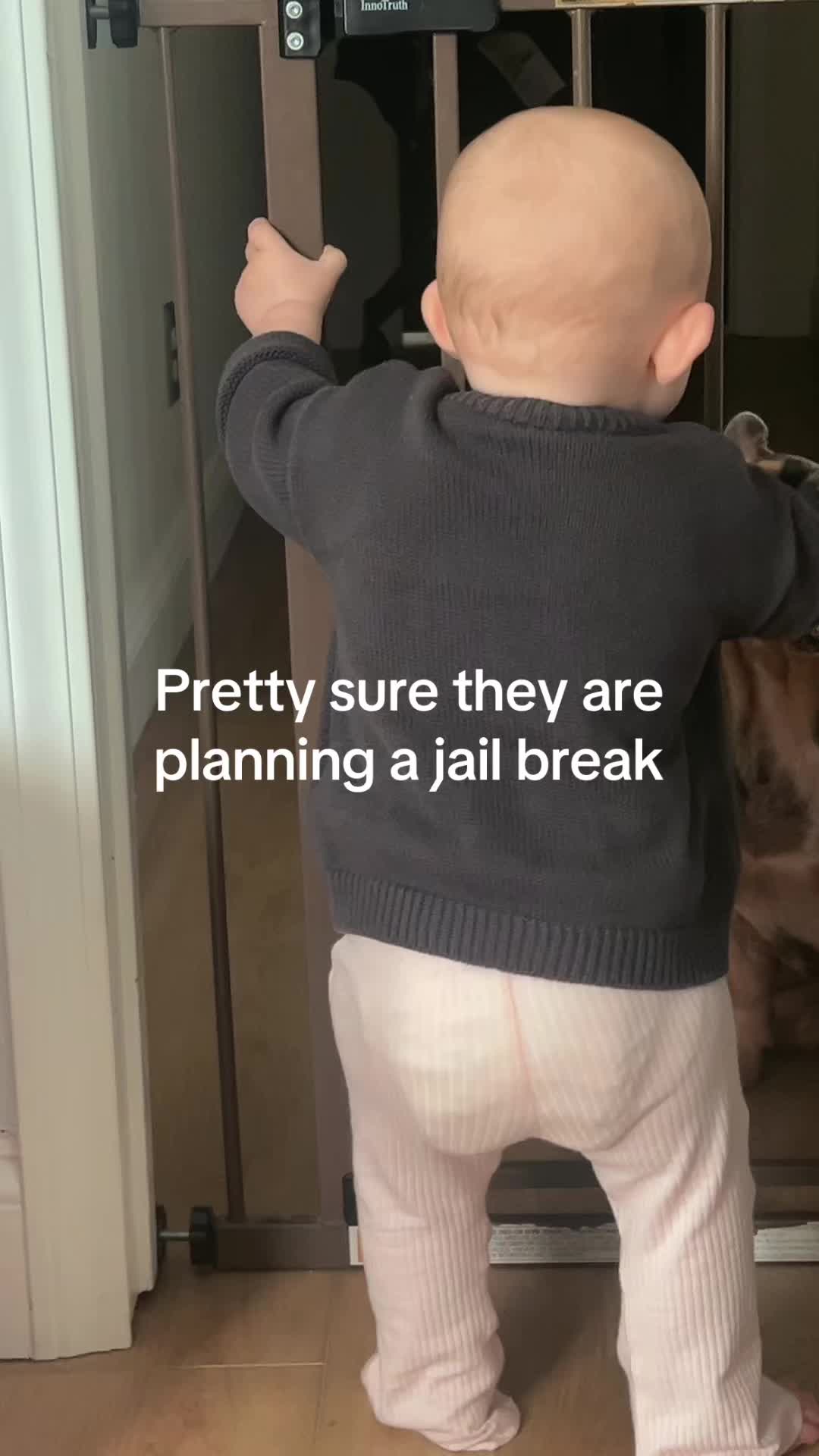 @pattyclark17