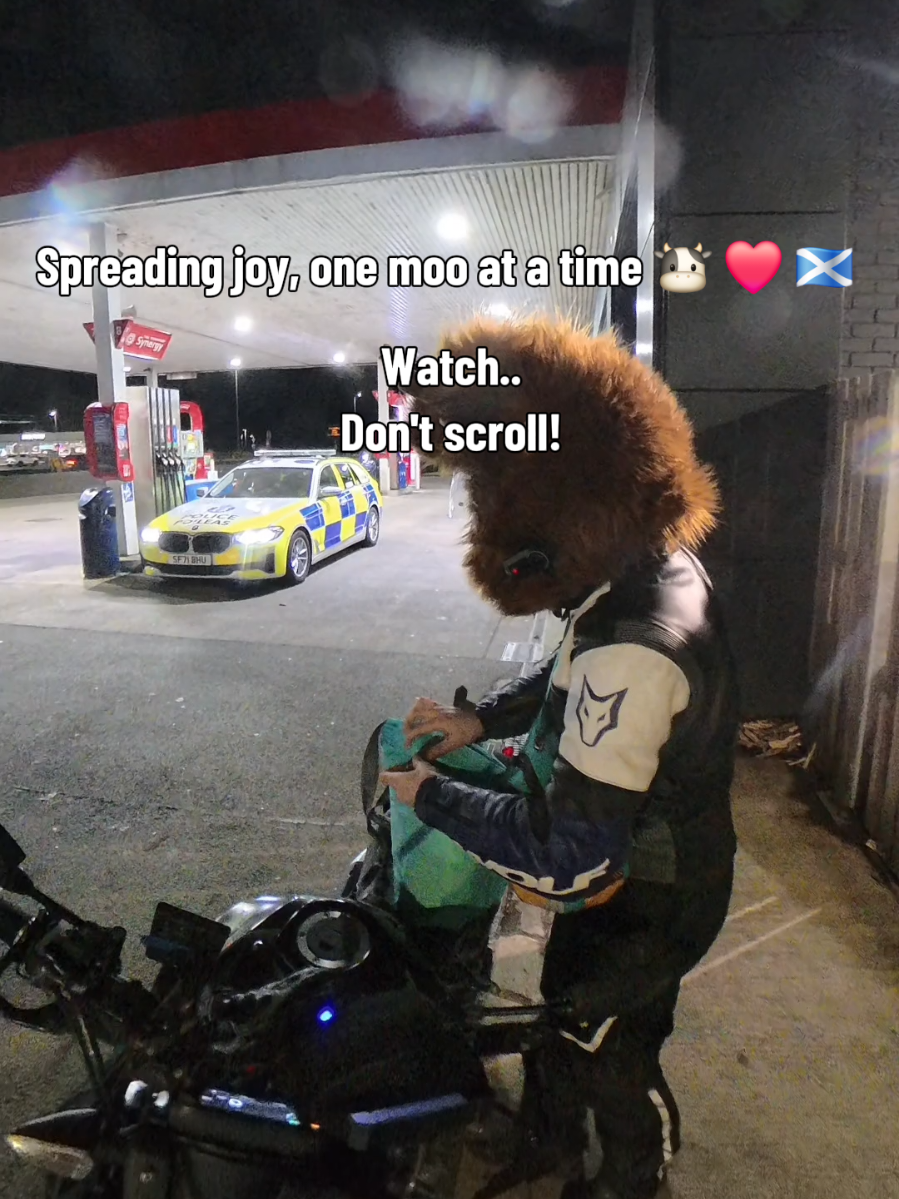 @Highland Cow Rider 🐮🏍