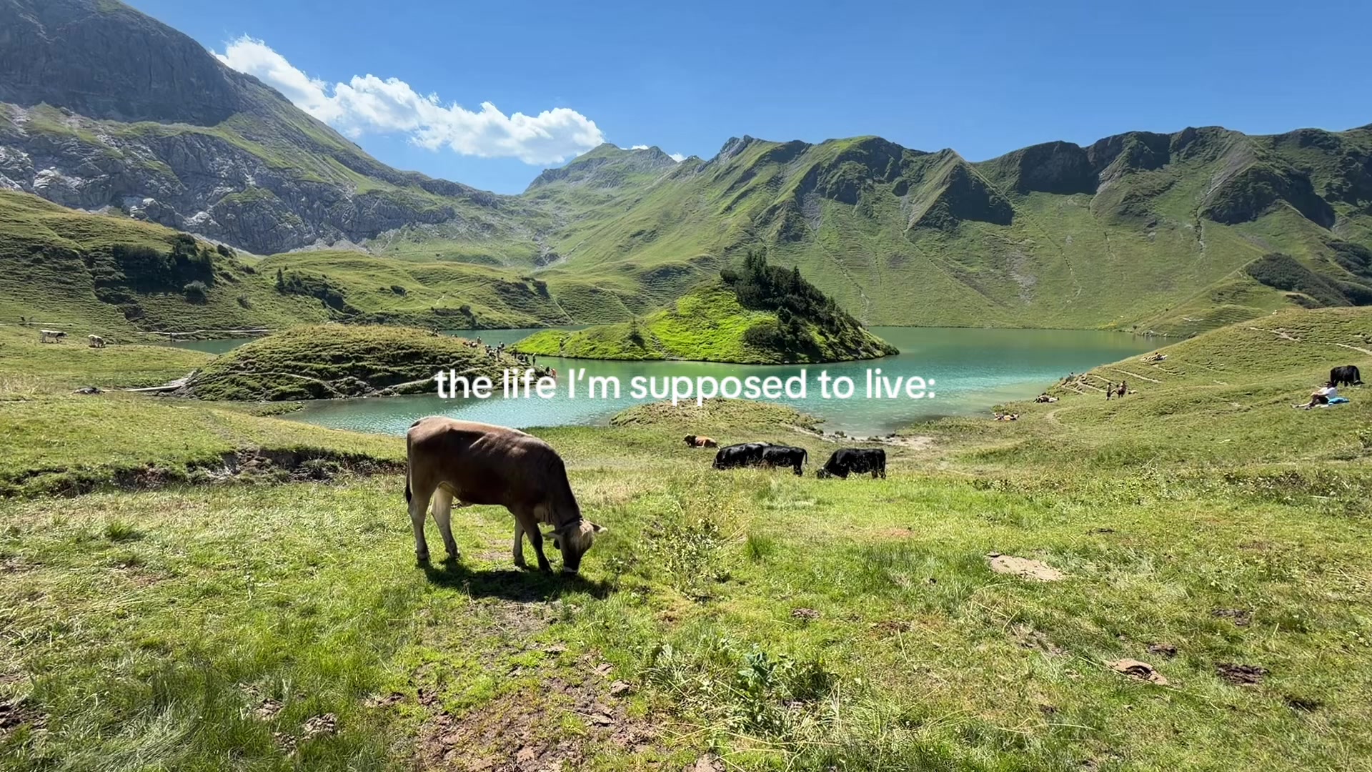 @lulu