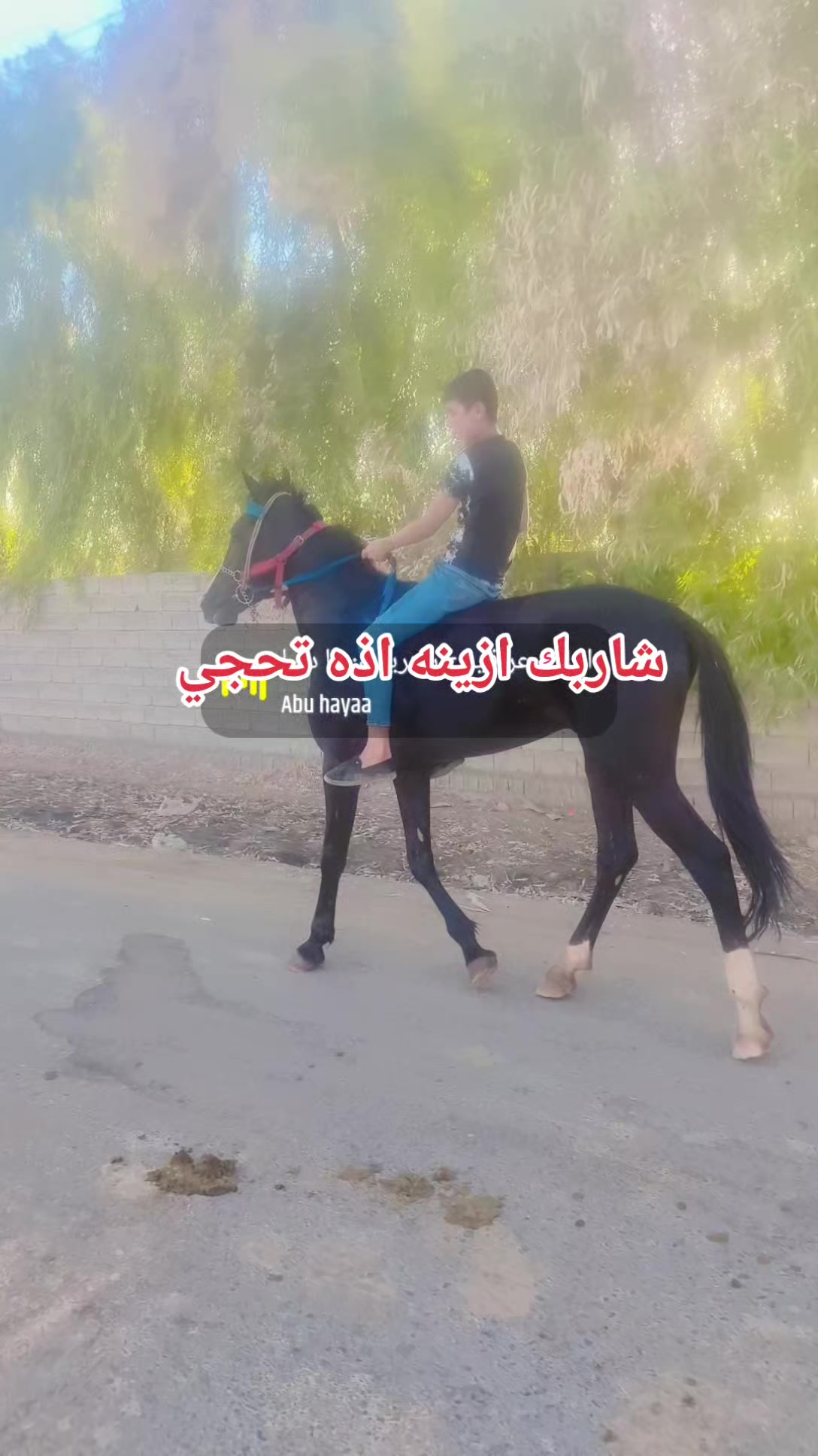 @حمودي حمودي ☺