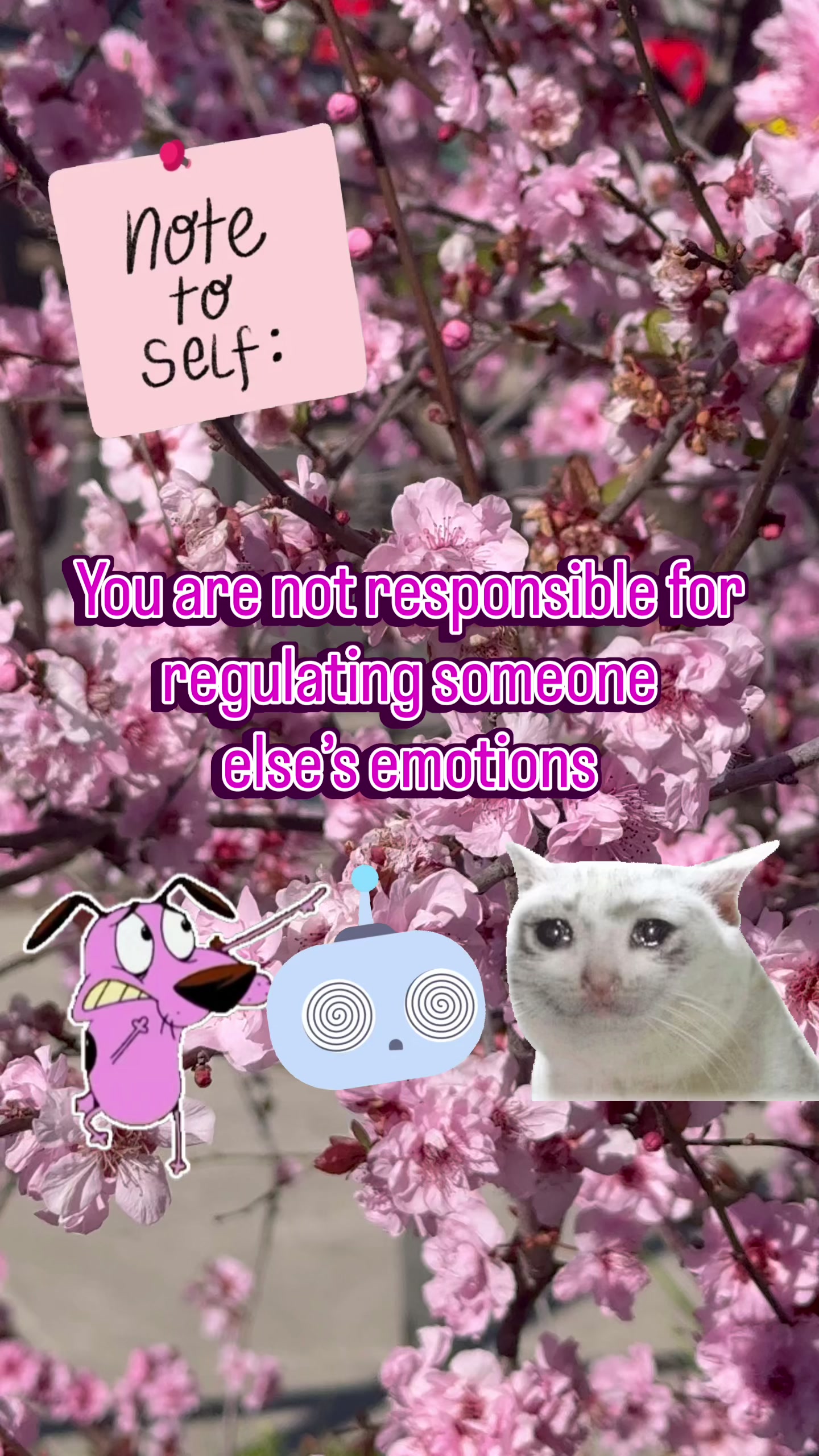 @Niki