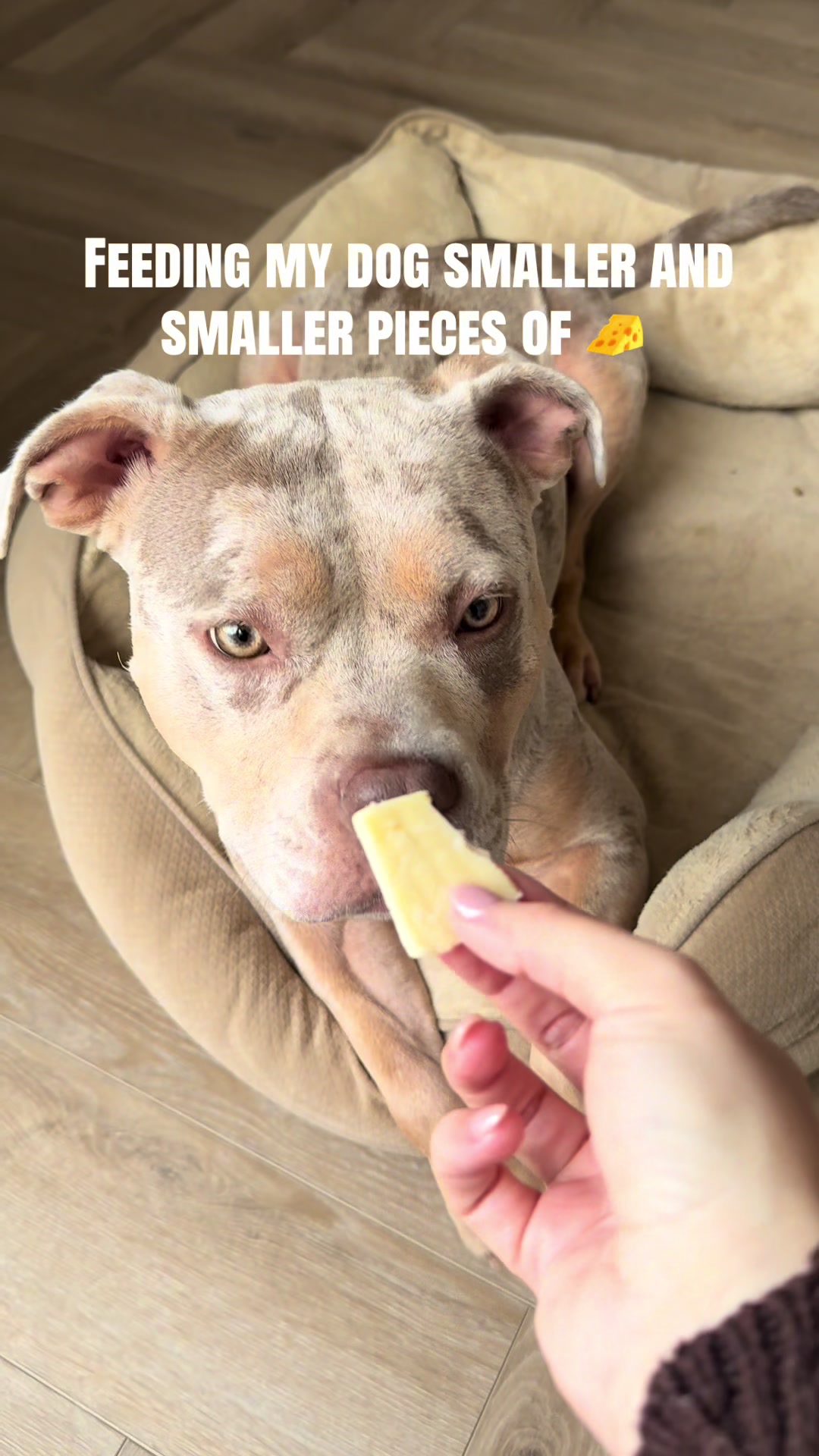 @Rue the Rescue