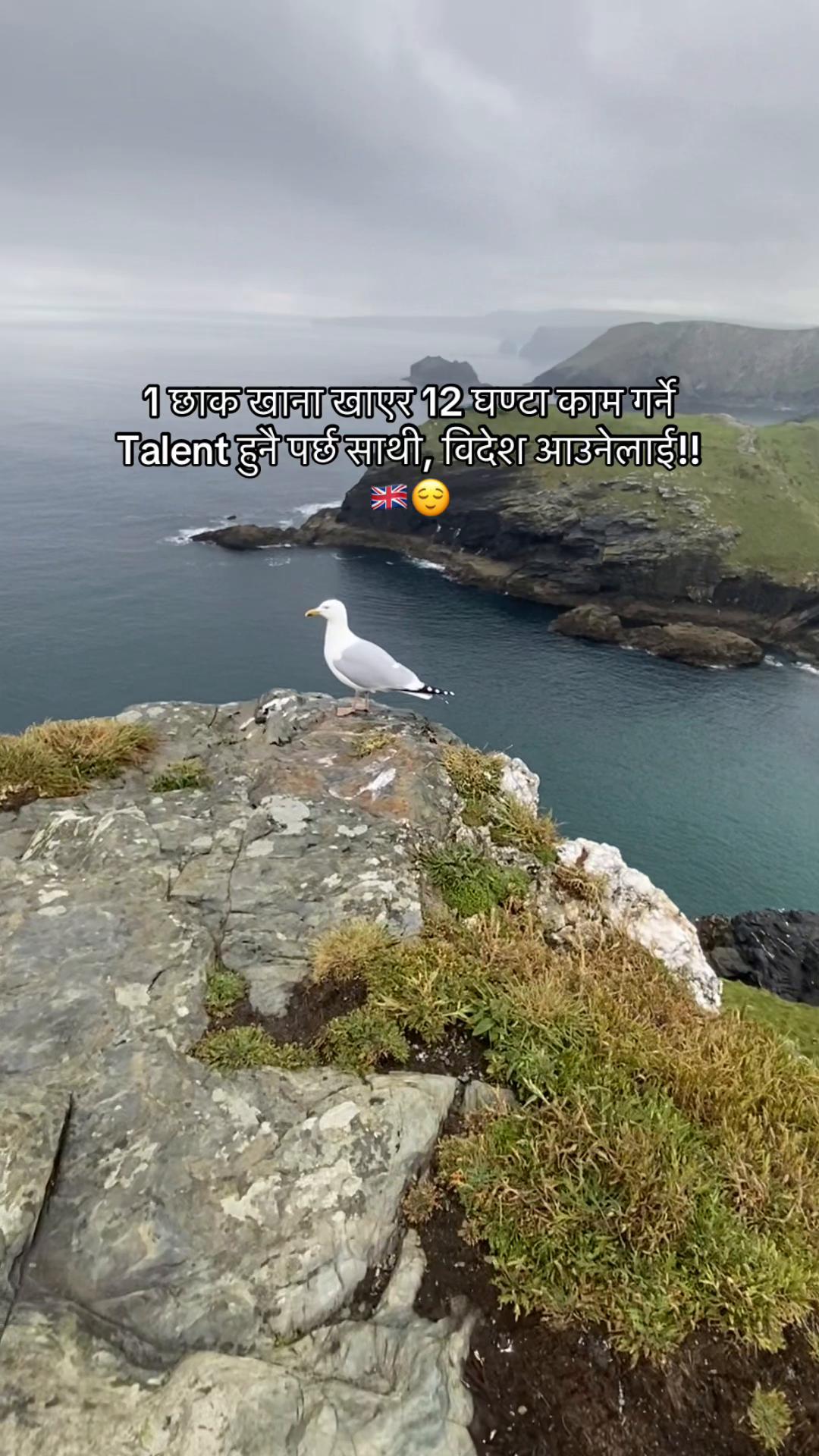 @san.dhyah