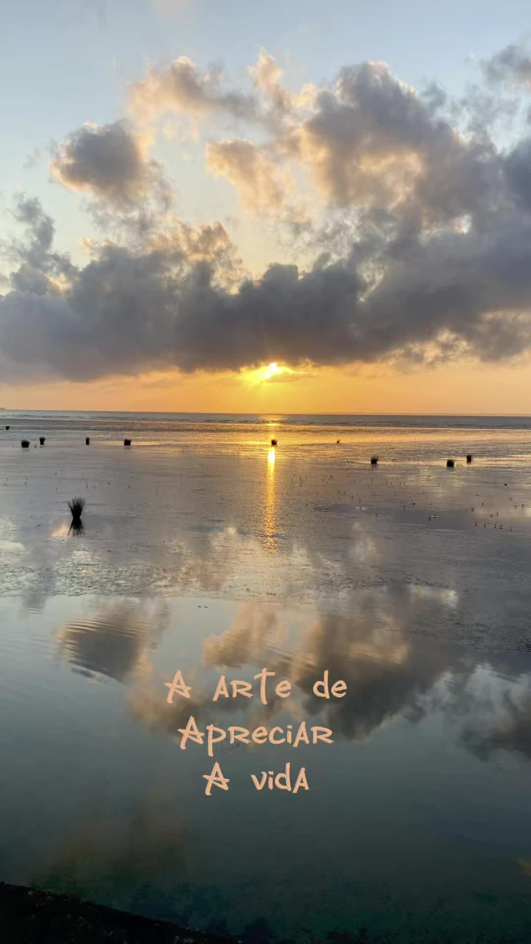 @Tet&eacute; 🔆