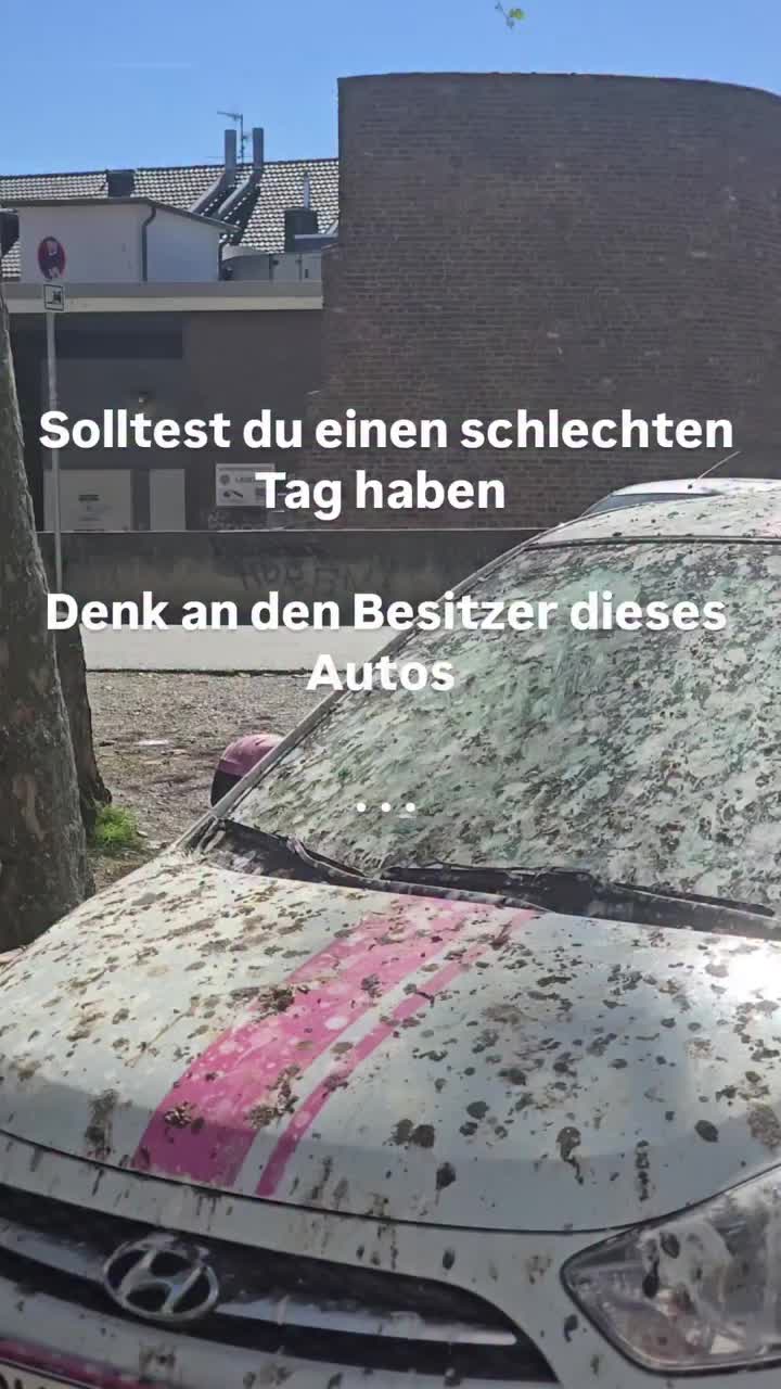 @Lasy