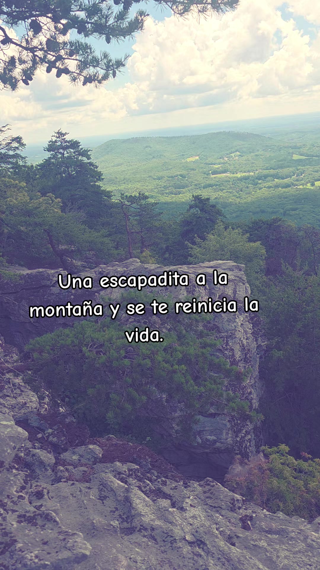 @Laysa
