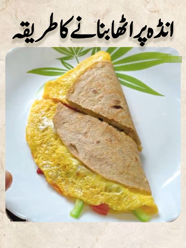 @ifzaalcook0