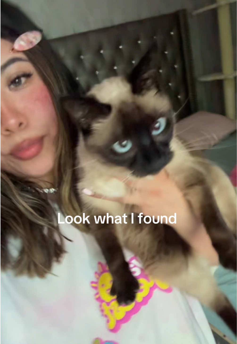 @Silindionnn