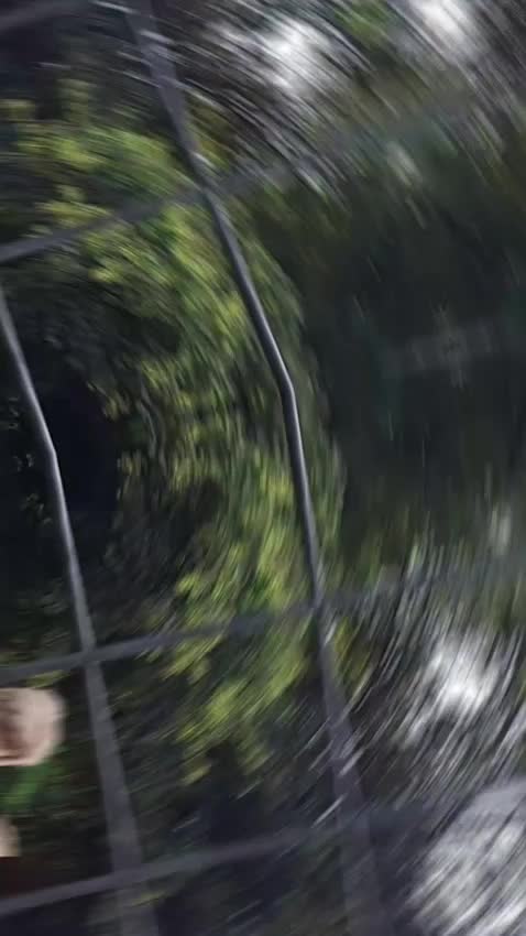 @M.A.L.E.K