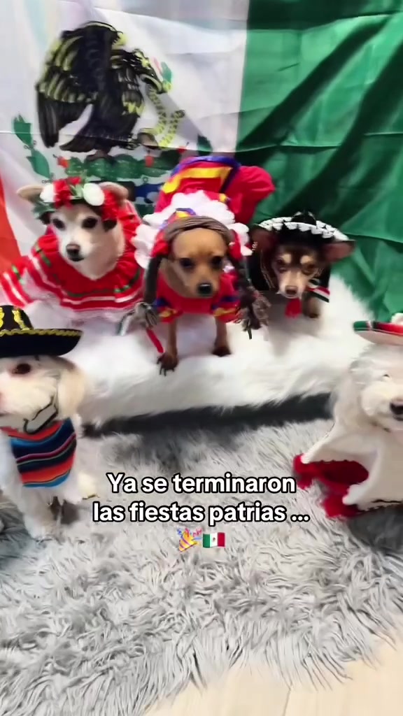 @Liz Vall.