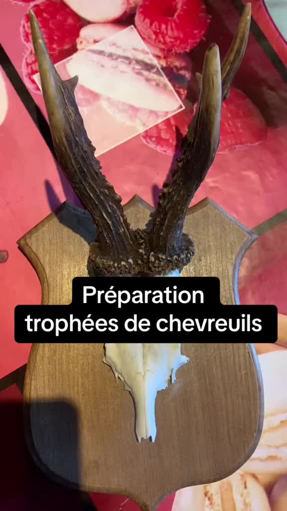 @chasseresses_boisclairs