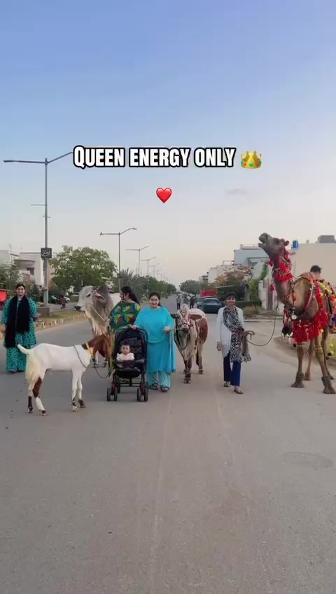 @Nimra Moazzam✨