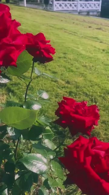 @Mansi Rani 🇳🇴