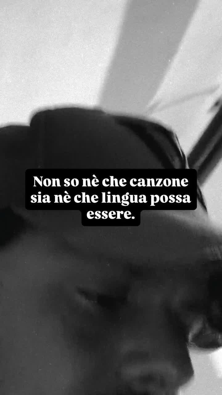 @Renato Biancardi Page