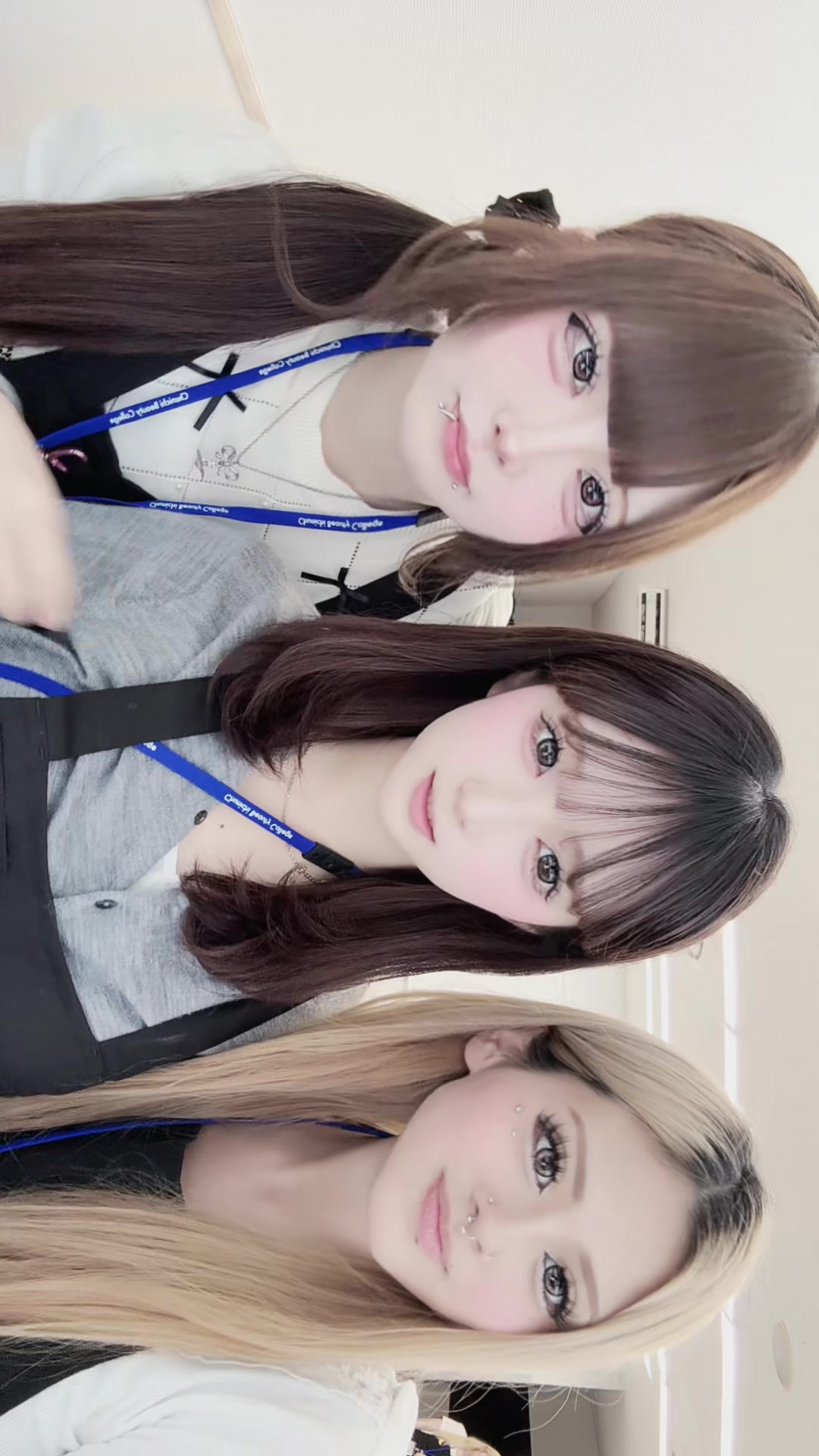 @ありにゃ