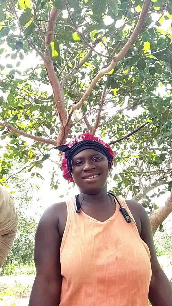 @Akuaa