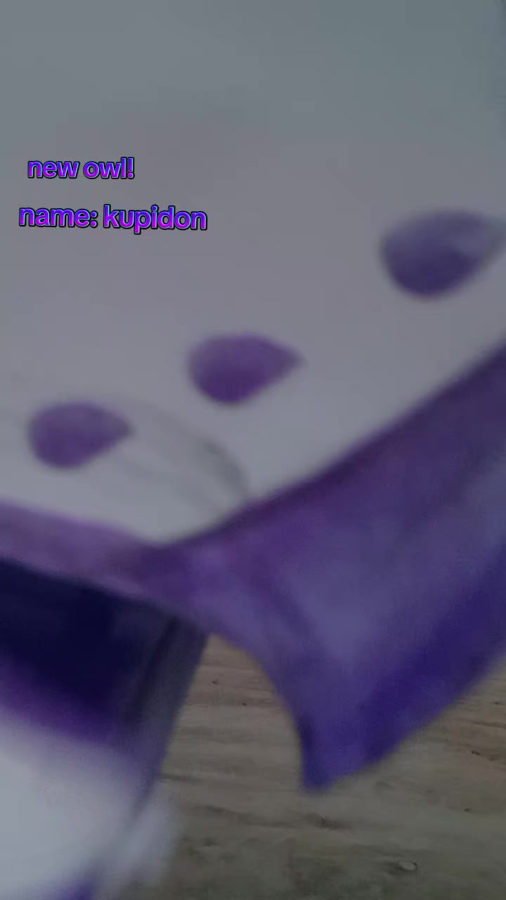 @.•✨𓆩𝑨𝒆𝒓𝒚𝒏𓆪❤️🔥•.