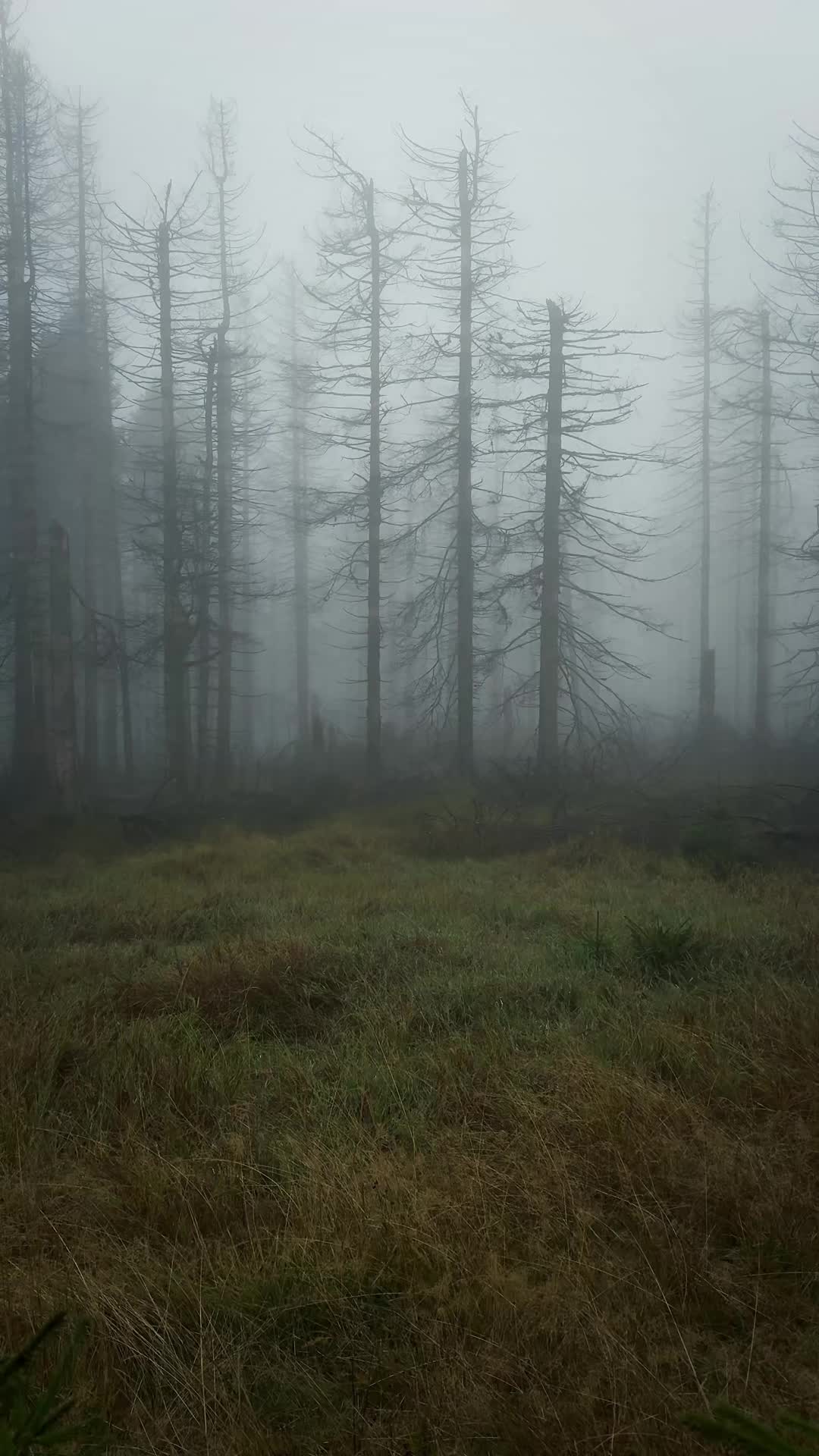 @Sebastian Wilczewski