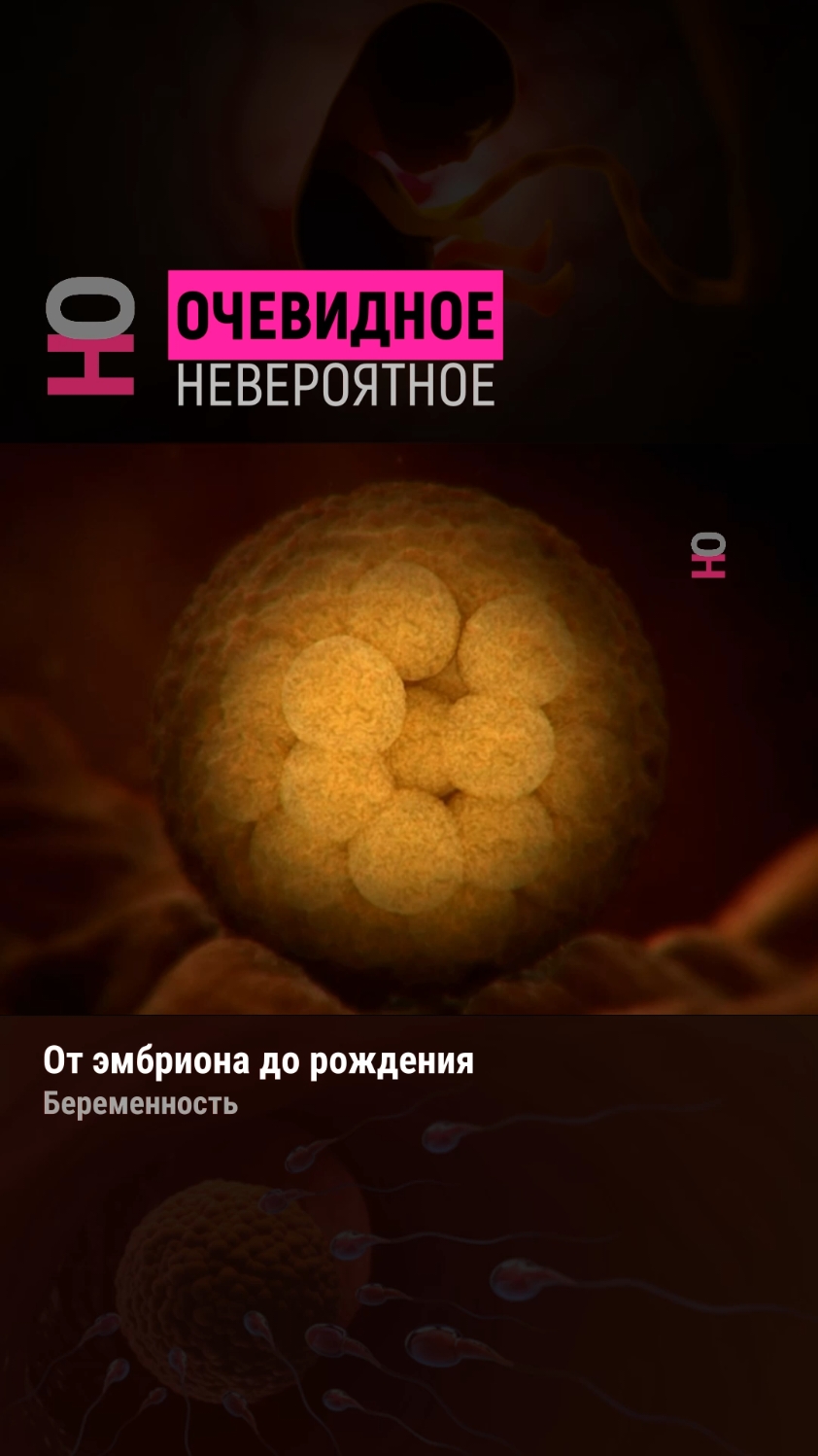 @Очевидное | Невероятное