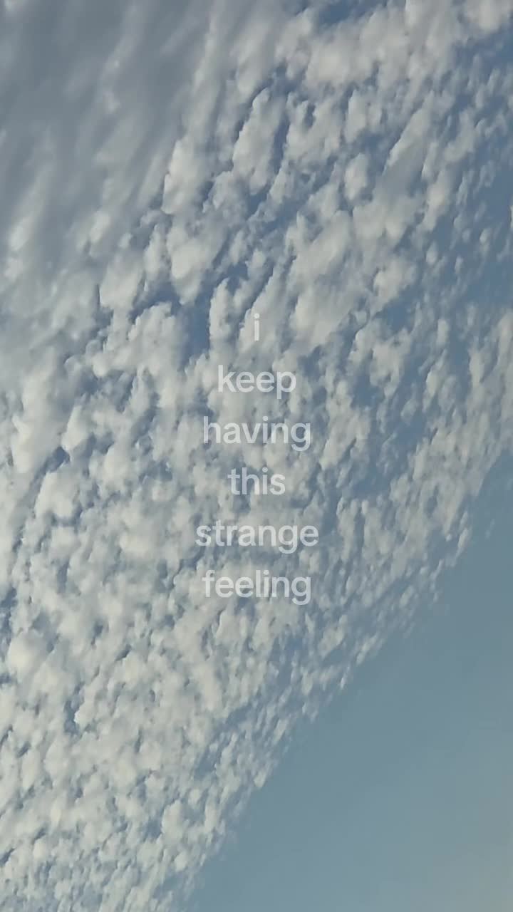 @🌙