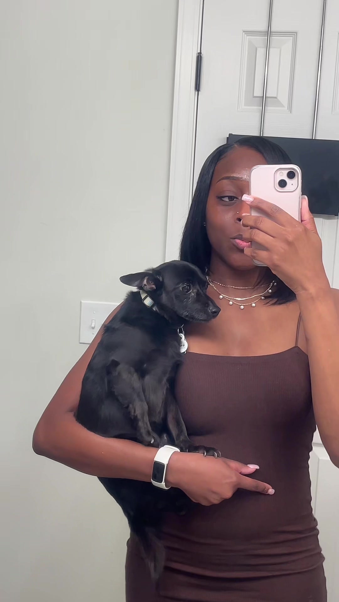@Blackjack_Chihuahua