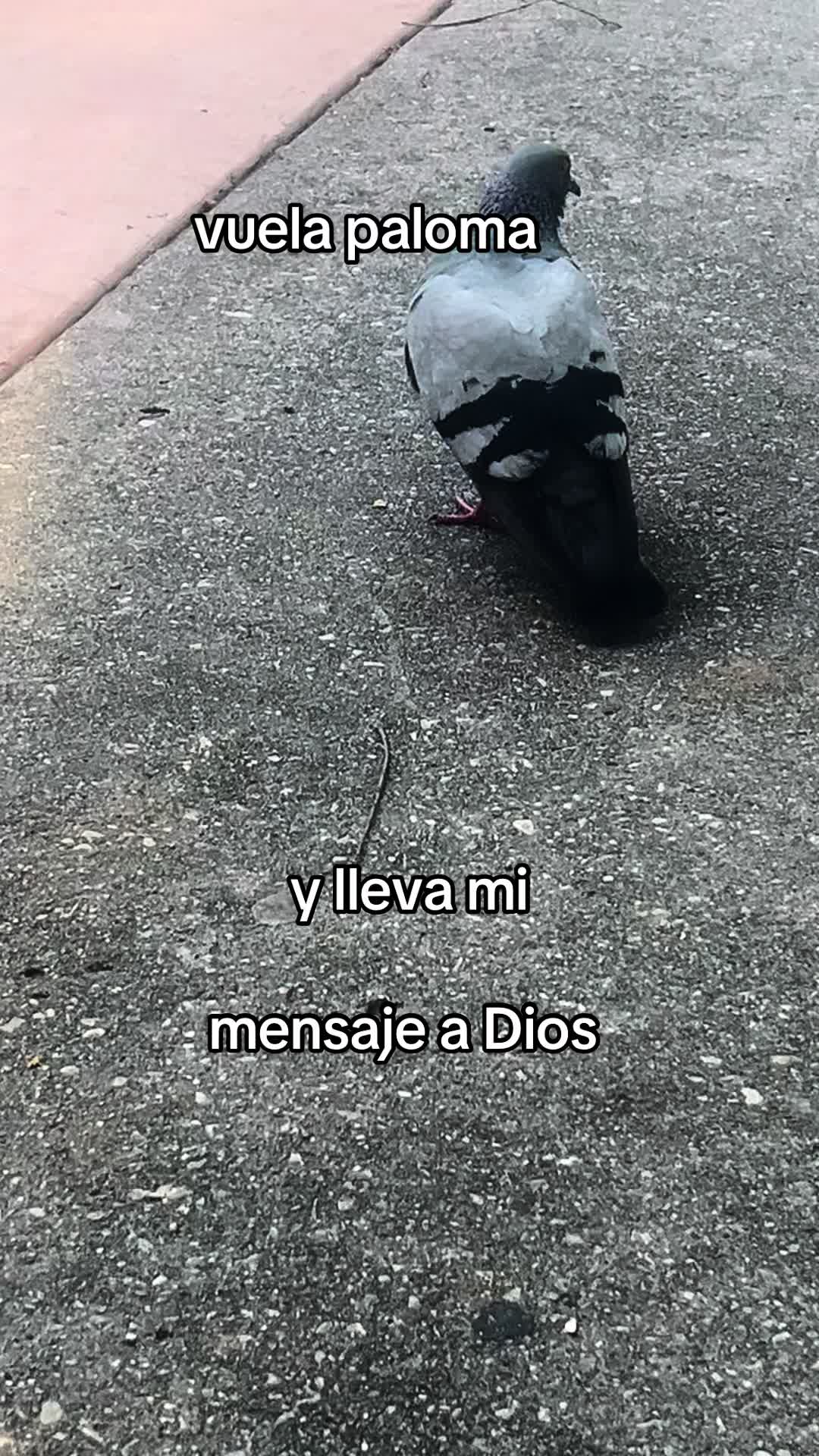 @Dejando las tinieblas